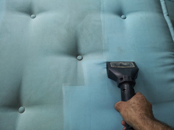 Upholstery Cleaning in Framingham, MA (1)