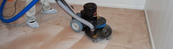 Carpet Cleaning in Newton, MA (1)
